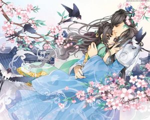 女士中医养生spa诱导